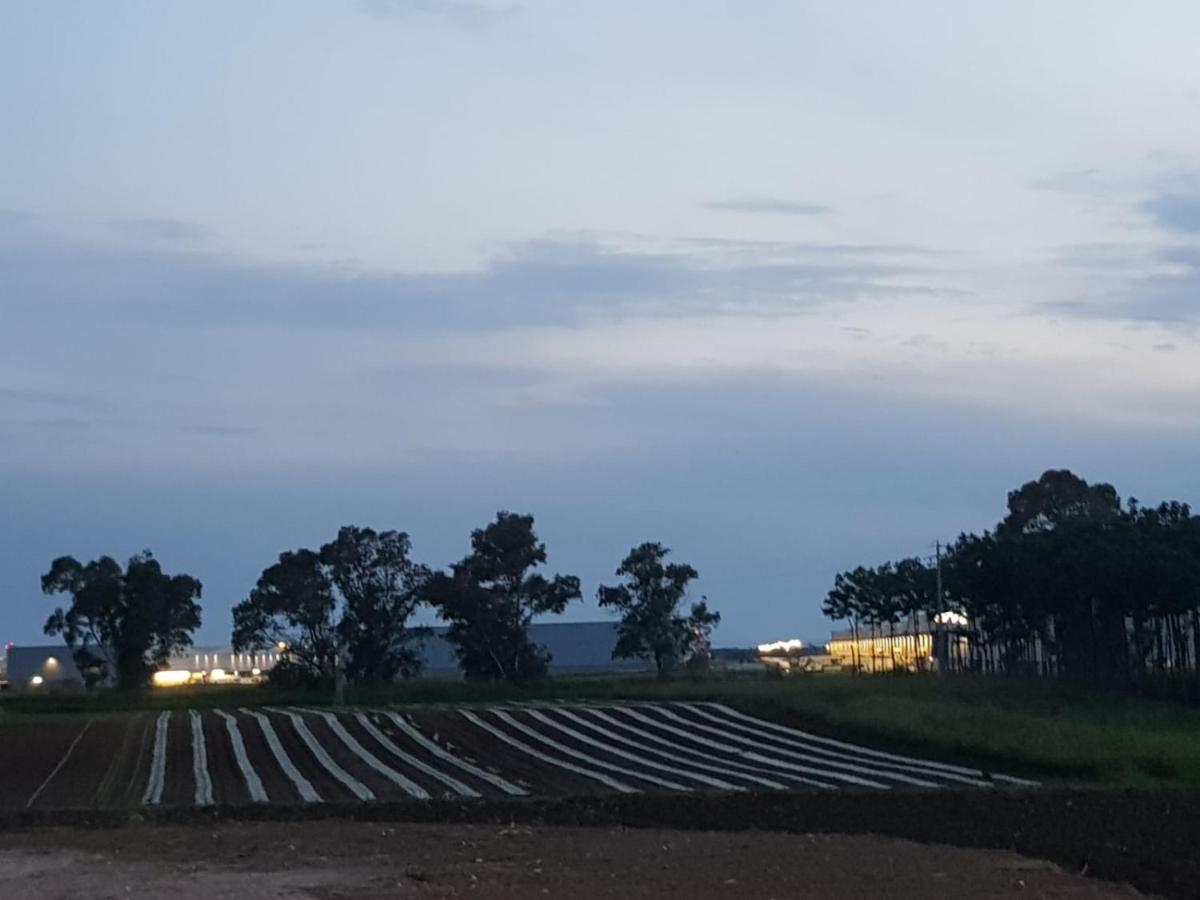 Agriturismo Il Casale بونتي جاليريا المظهر الخارجي الصورة