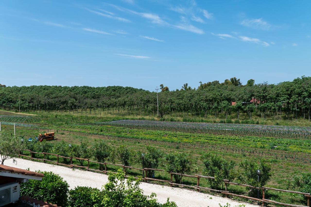 Agriturismo Il Casale بونتي جاليريا المظهر الخارجي الصورة